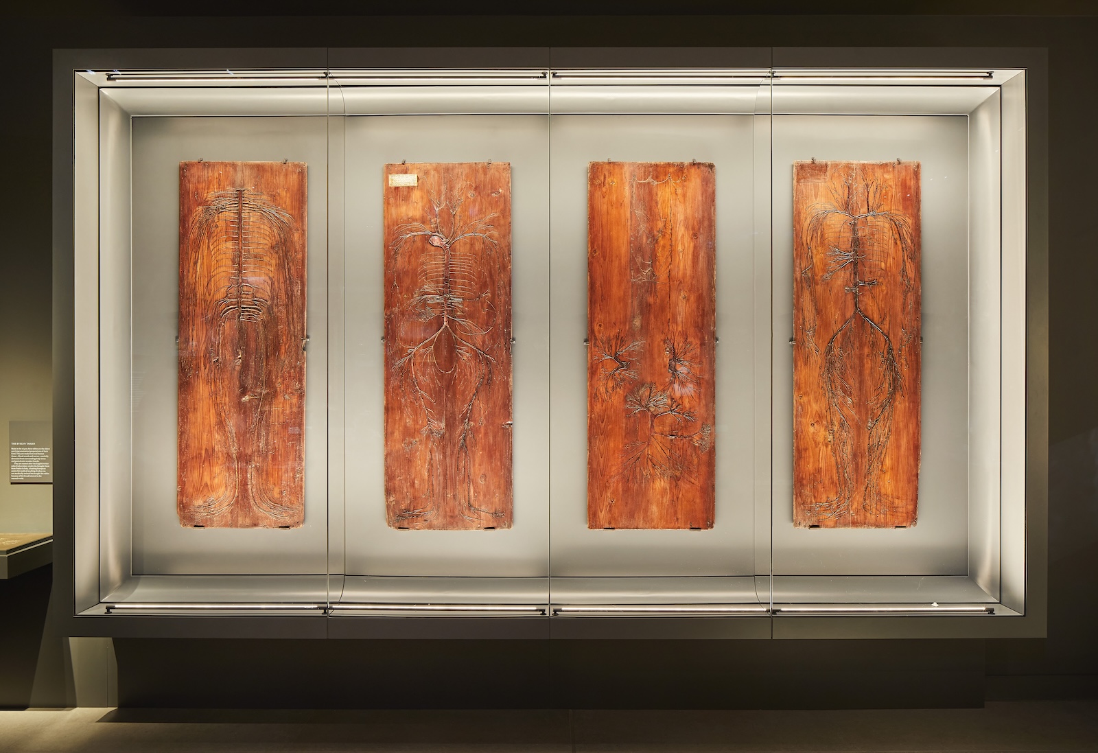 The 4 Evelyn Tables at the Hunterian Museum