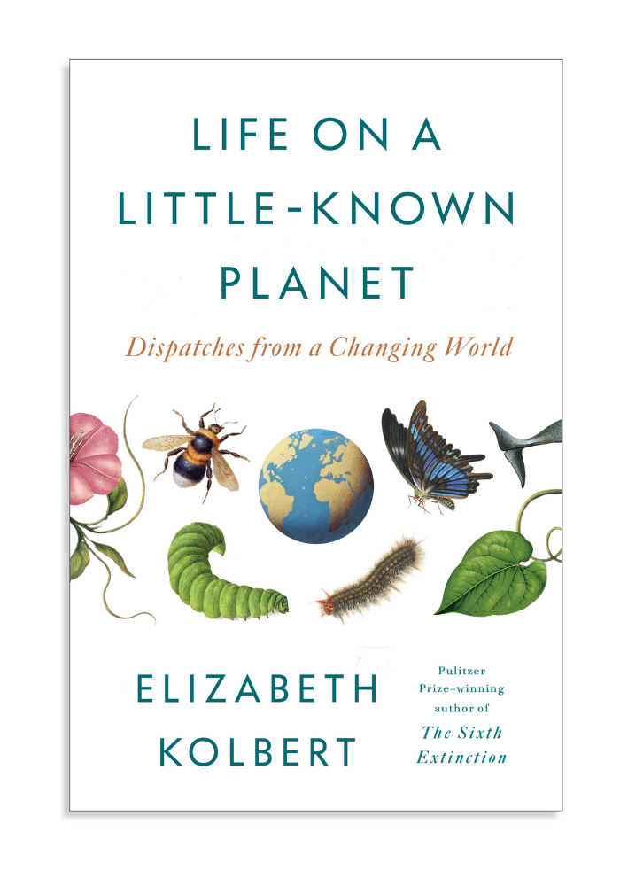 Life on a Little Known Planet book cover