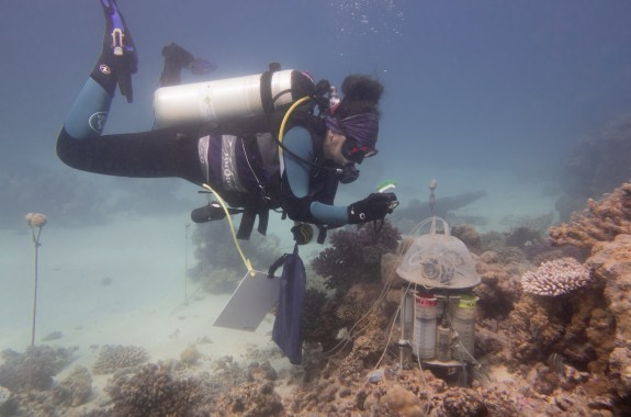 A scuba diver collecting microbes in the ocean