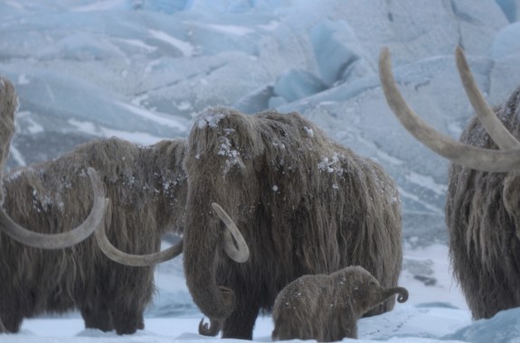A realistic CGI recreation of a family of wooly mammoths in a snowy landscape, including a baby mammoth