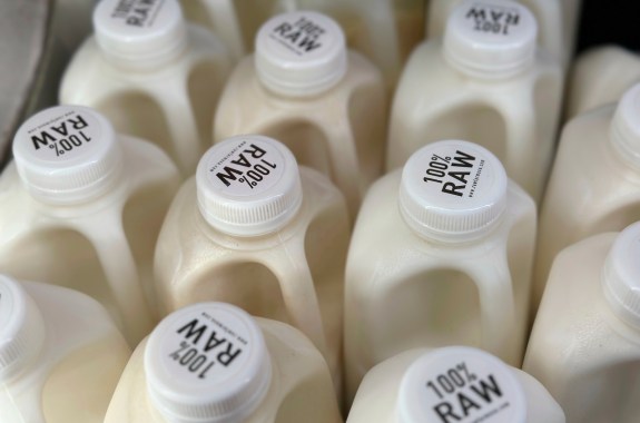 Rows of small jugs of milk with white stickers on the top that read "100% RAW"