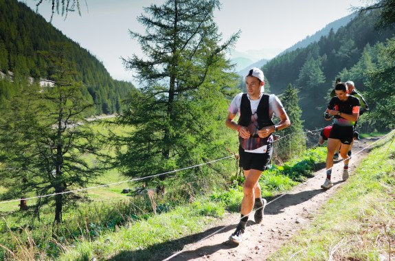 Three runners on a mountain trail on a sunny day against a backdrop of pine trees.
