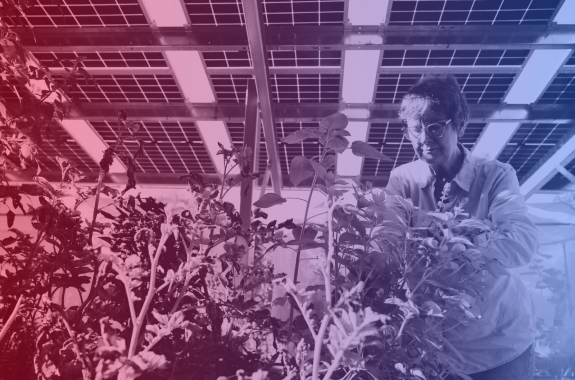 An older woman in a green shirt and classes attends to a leafy plant under the shade of a