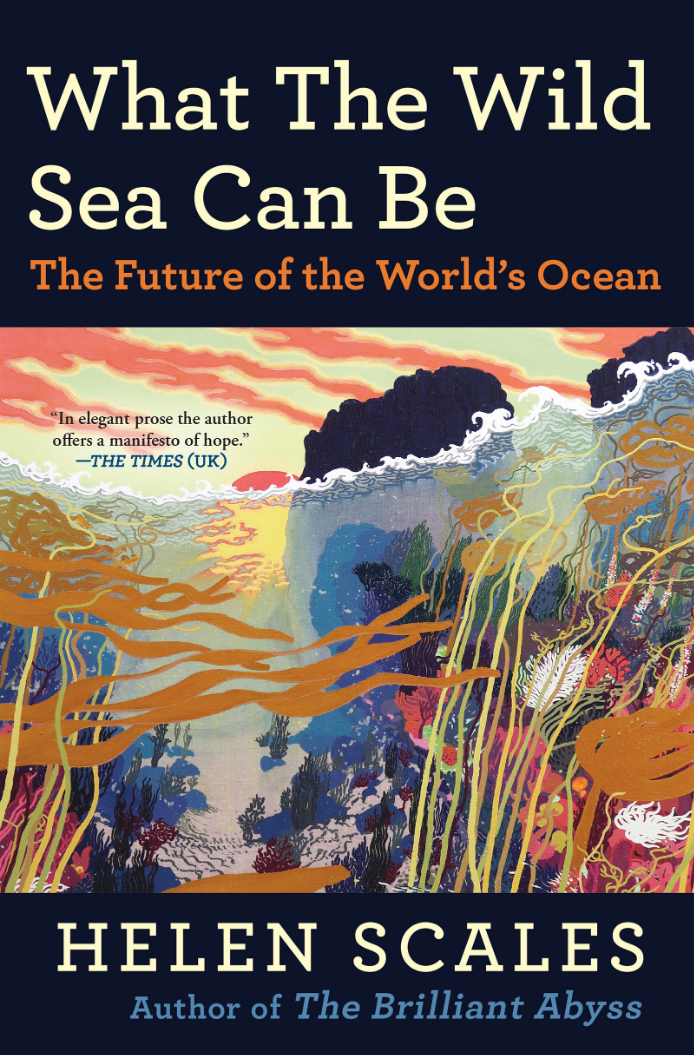 Book cover of What the Wild Sea Can Be: The Future of the World's Ocean by Helen Scales