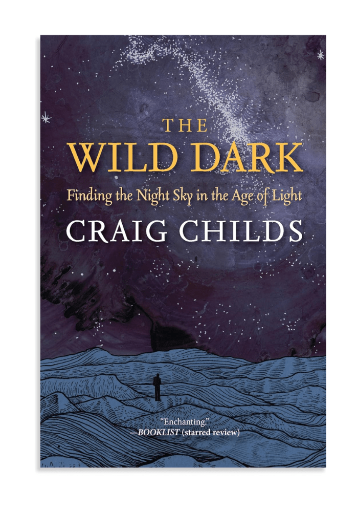 The Wild Dark book cover