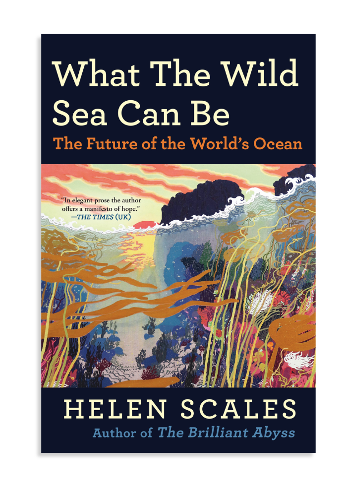 Book cover of What the Wild Sea Can Be: The Future of the World's Ocean by Helen Scales