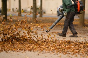 Man in dark pants walks along a sidewalk blowing leaves with a leaf blower