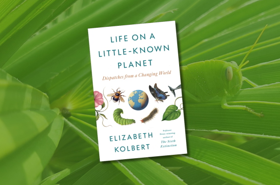 The book Life on a Little-Known Planet placed against a green background with the faint outline of a plant with a grasshopper on it.