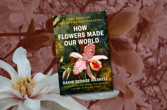 The book "How Flowers Made Our World" placed against a maroon background with the faint outline of magnolia blossoms and buds.