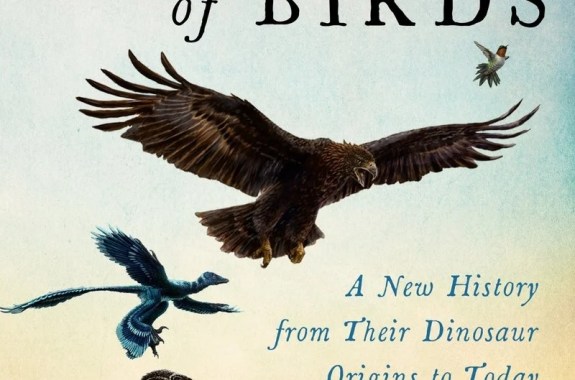 Book cover of "The Story of Birds A New History from Their Dinosaur Origins to the Present" by Steve Brusatte