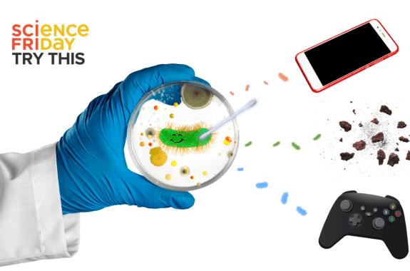 Good dirt or bad germs? Let’s swab it and see!