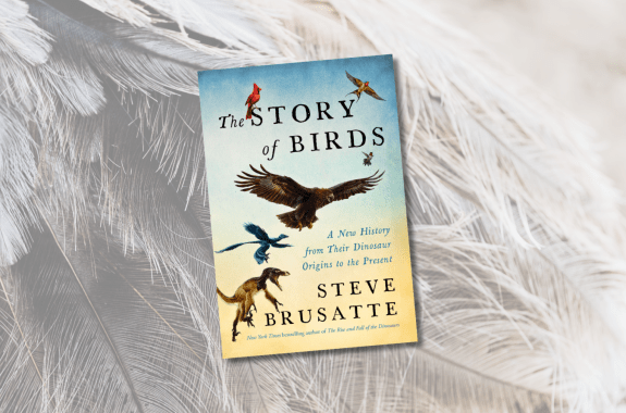 Book cover of "The Story of Birds A New History from Their Dinosaur Origins to the Present" by Steve Brusatte on feather background