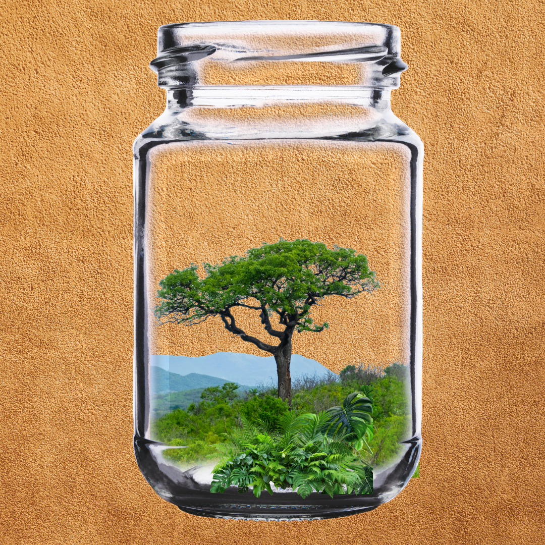 A composite image of a clear glass mason jar set against a warm sandy-brown textured background. Inside the jar, a photorealistic miniature forest landscape is contained.