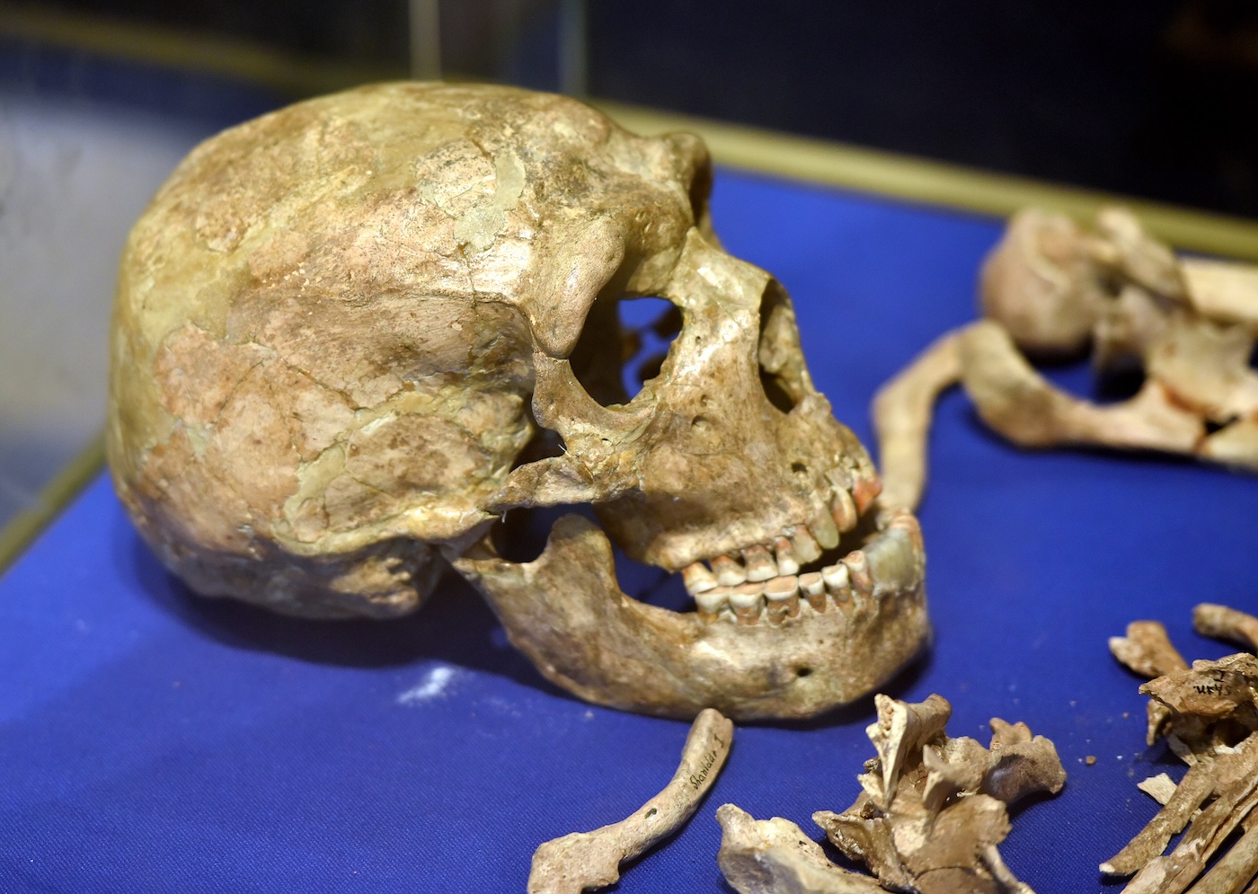How did Neanderthals deal with illness and injuries?