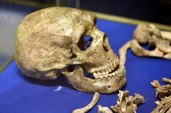 A skull and bone fragments sit on a blue cloth