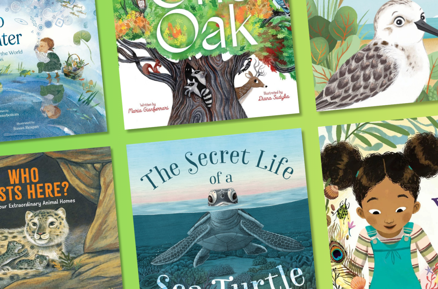Six children’s book covers against a bright green background.