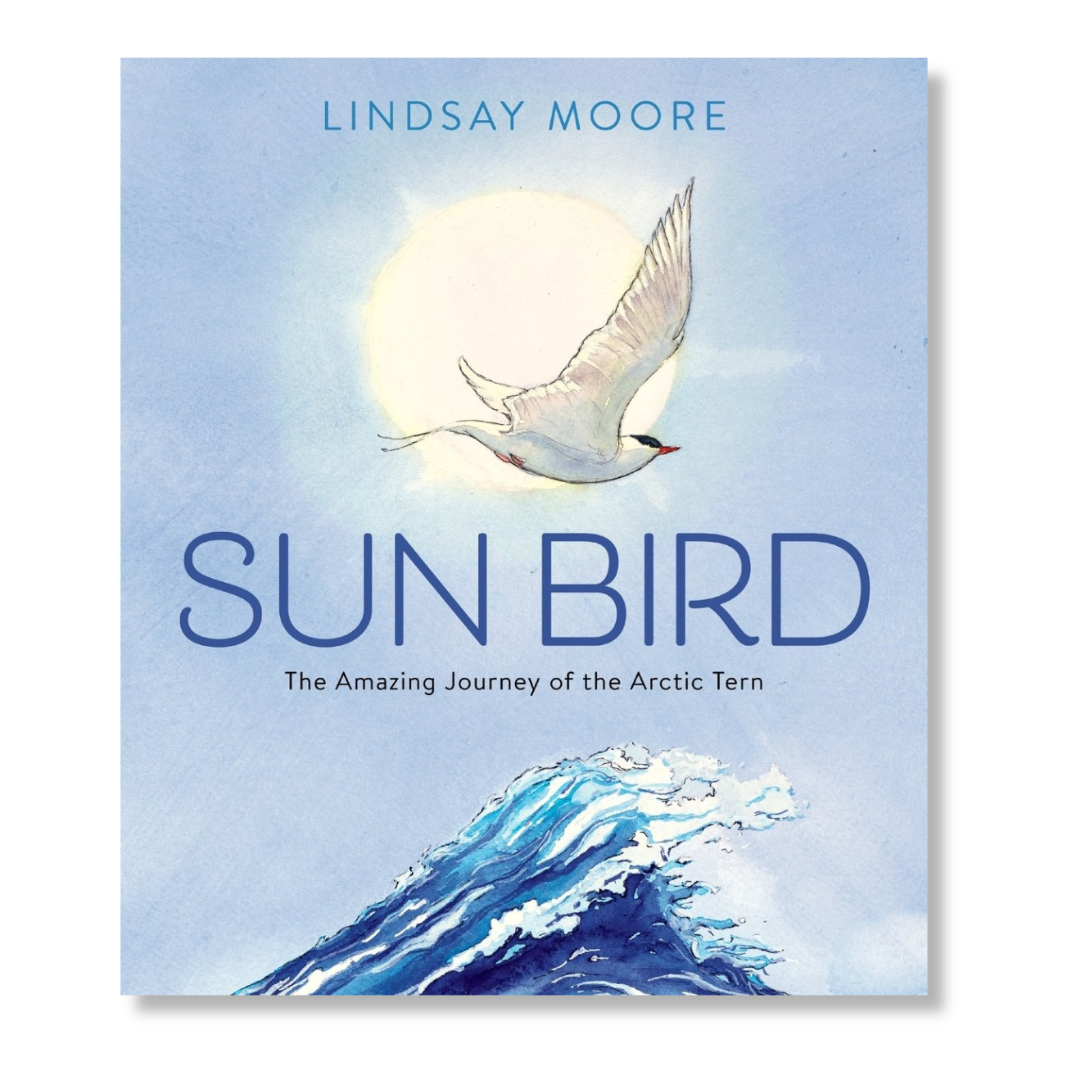 Sun Bird Book Cover