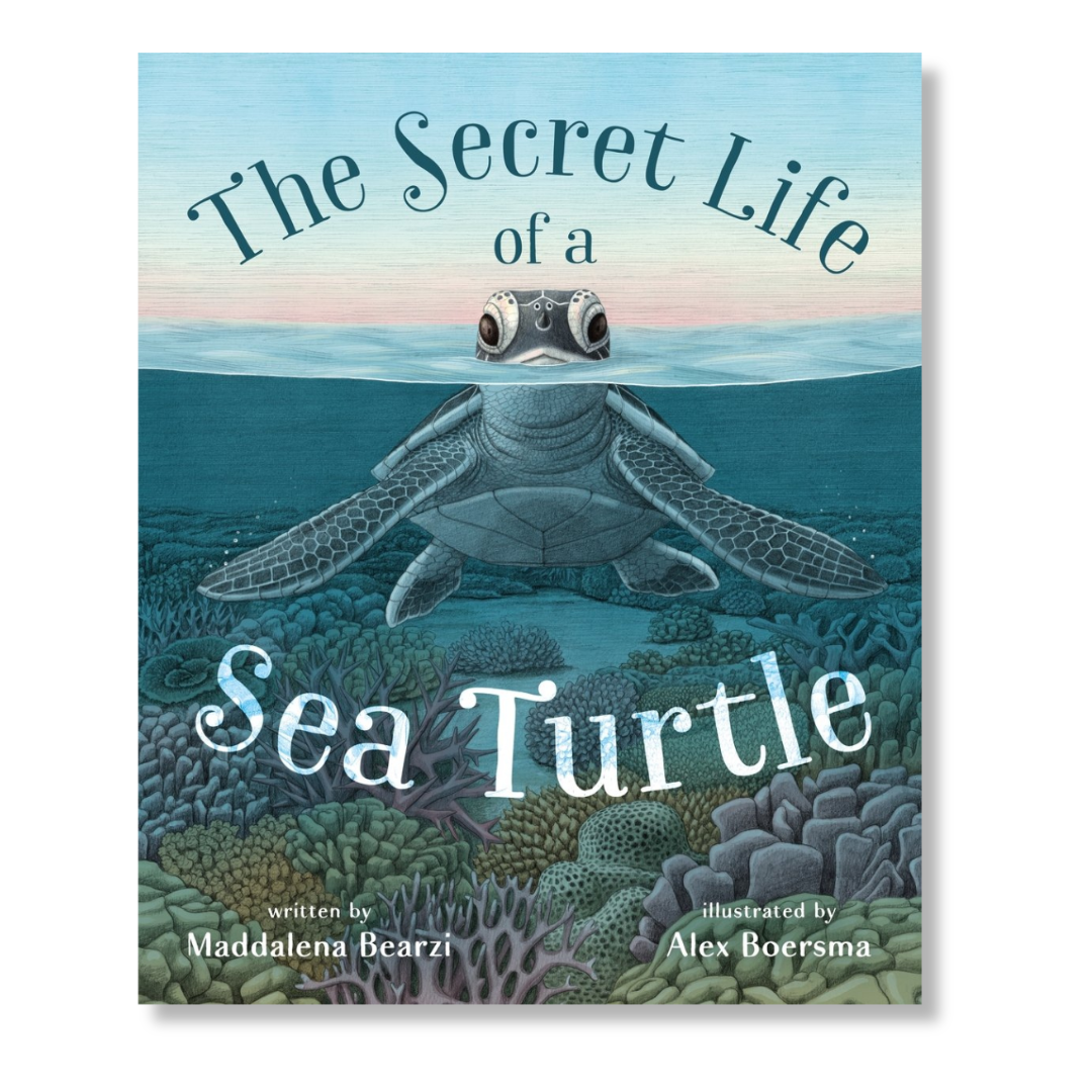 The Secret Life of a Sea Turtle Book Cover