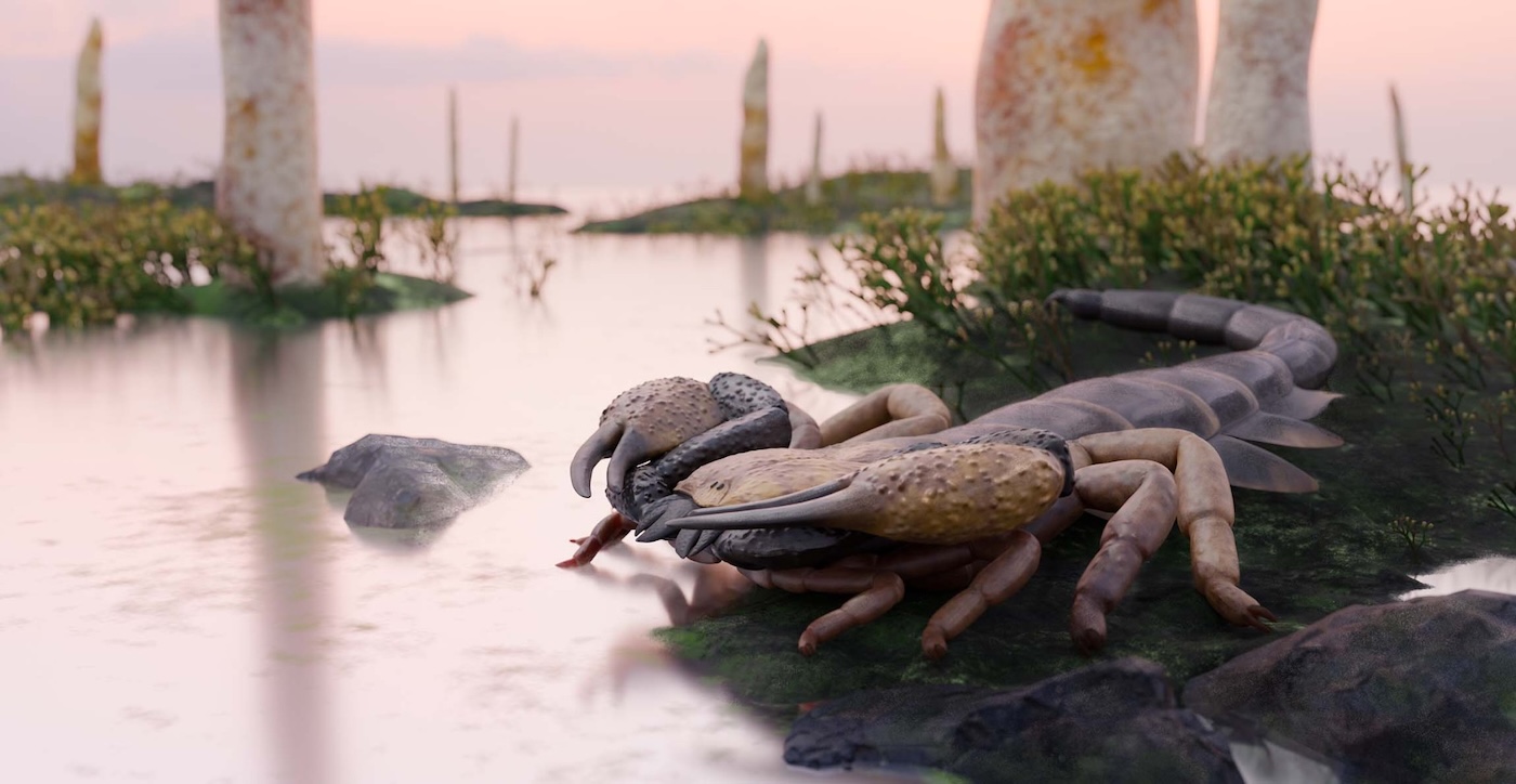 Realistic illustration of a giant, dark, low-sitting scorpion at the edge of a pond.