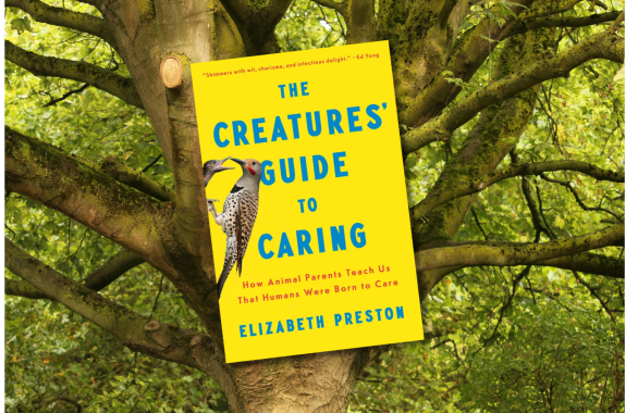 Our evolutionary path to parenting—and sharing the load