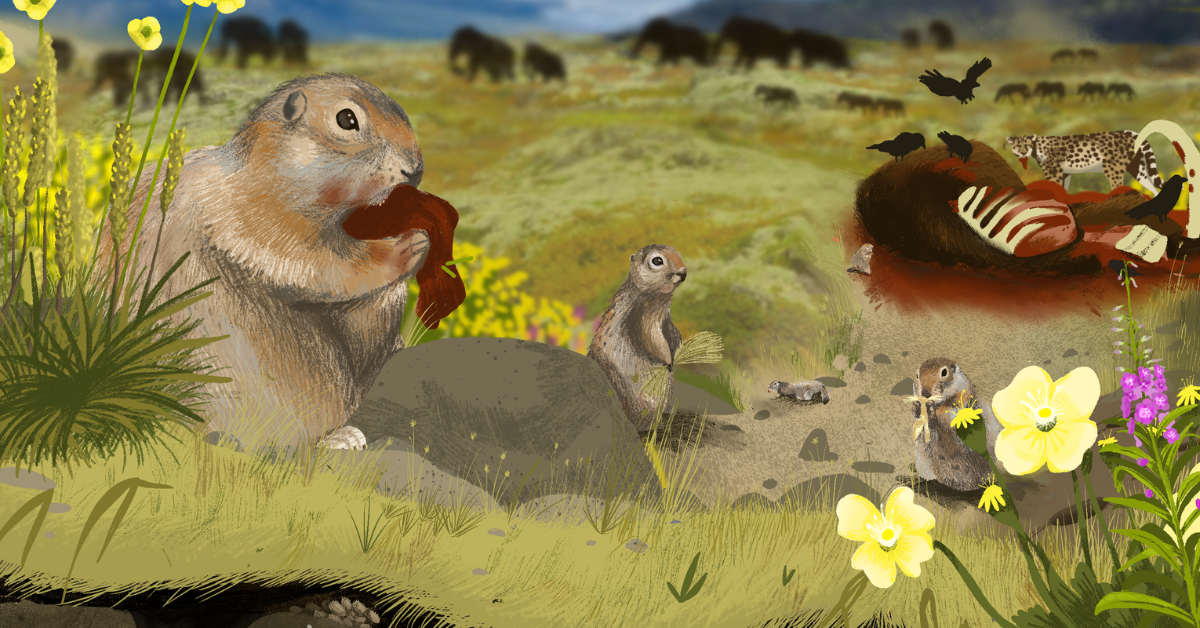 Squirrel poop drops Ice Age clues + The neuroscience of laughter