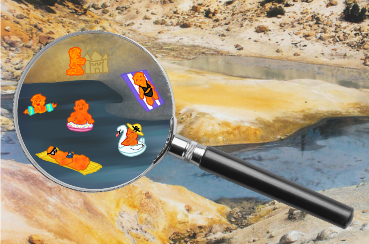 How does a shape-shifting microbe survive extreme heat? - Science Friday