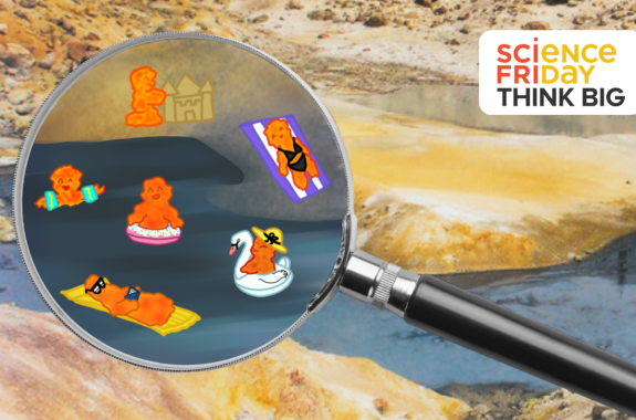 A composite illustration combining a photograph of a mineralized hot spring with yellow and orange sediment. A large magnifying glass reveals cartoon fire amoebas enjoying a day at the "beach" while sunbathing, floating on pool toys, and building sand castles.