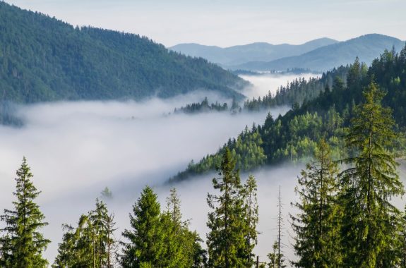 Morning Fog in the Carpathian Mountains