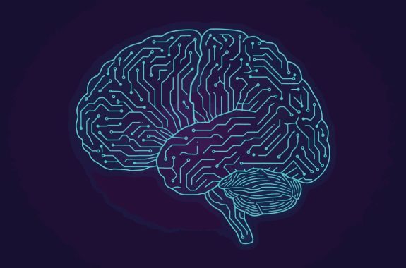Human Brain Circuitry A Visual Representation of Neural Networks and Cognitive Processes