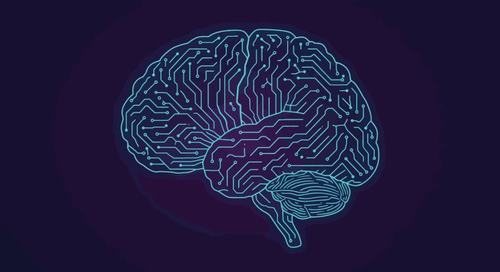 Human Brain Circuitry A Visual Representation of Neural Networks and Cognitive Processes