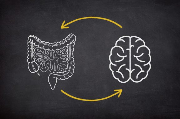 Gut Brain Connection Concept.