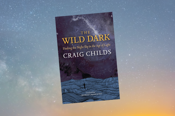 Book cover of “The Wild Dark” on an image of the night sky