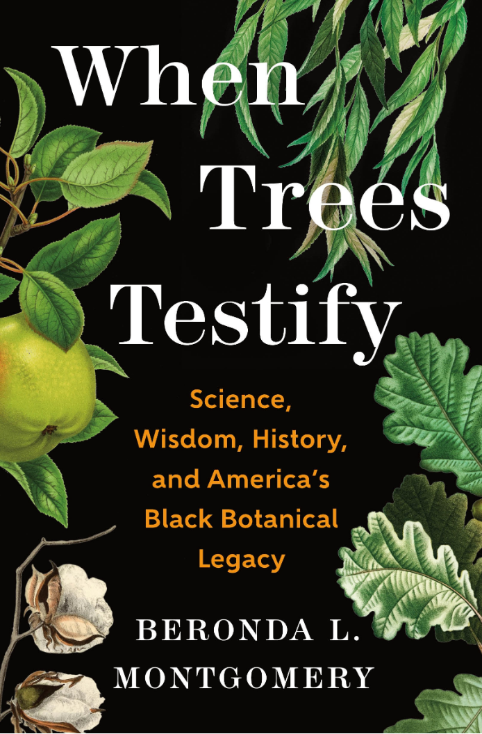 A book cover. Against a black background are branches and leaves of various trees including an apple tree and oak. In the bottom left are cotton buds. The text reads, When Trees Testify Science, Wisdom, History, and America's Black Botanical Legacy, Beronda L. Montgomery.