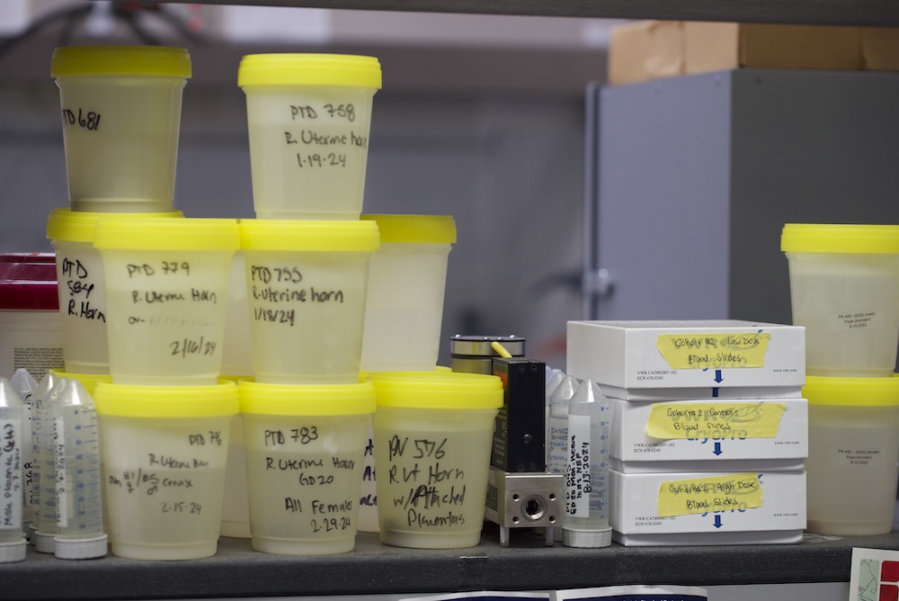 Stacks of small plastic tubs with yellow tops, with sample information written on them with marker.