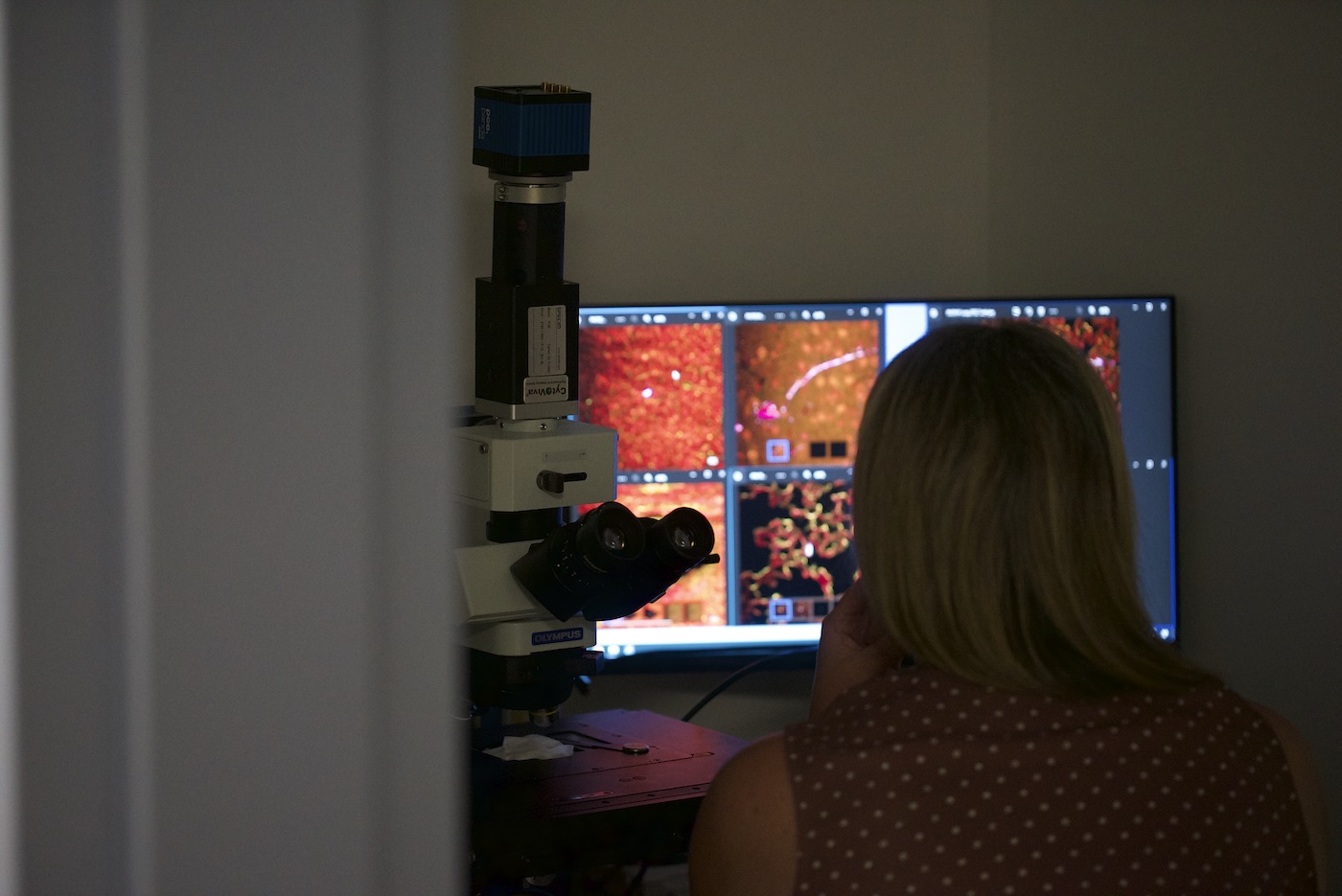 A woman sits in a dark room with her back to the viewer, next to a microscope, looking at monitor showing bright red squares of magnified tissue.