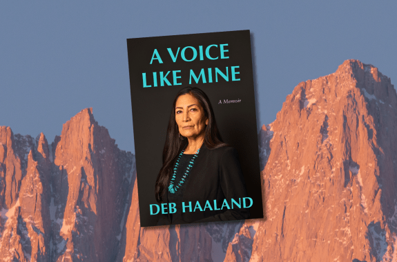 The black cover of "a voice like mine" set against the red, craggy peaks of Mt Whitney