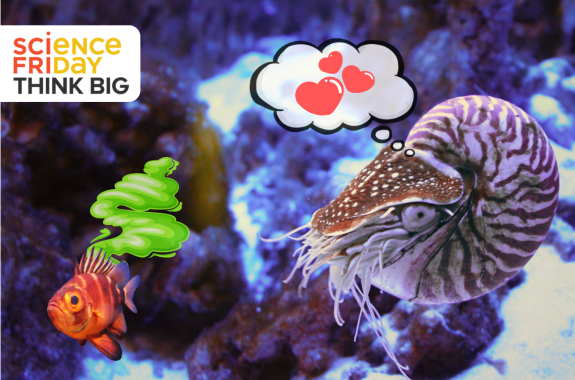 A fish emits a cartoonish green cloud of scent. Nearby, a chambered nautilus has a thought bubble with hearts.