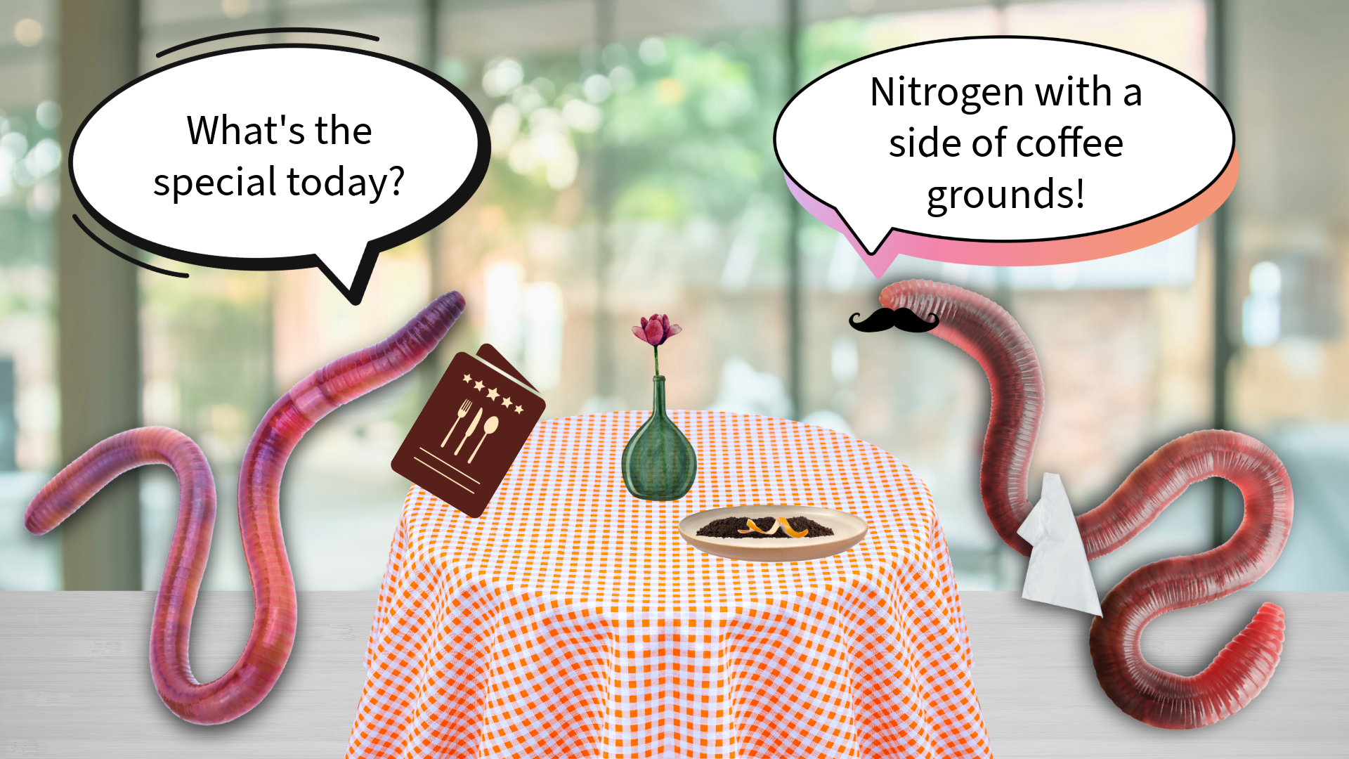 From scraps to soil: the dirt on the (not so lowly) worm