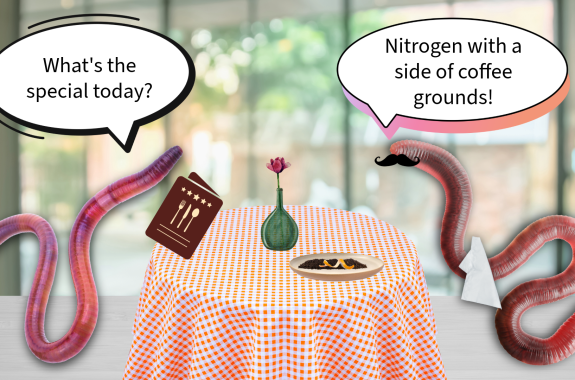 From scraps to soil: the dirt on the (not so lowly) worm