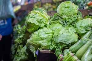 Close up of iceberg lettuce heads in a supermarket bin