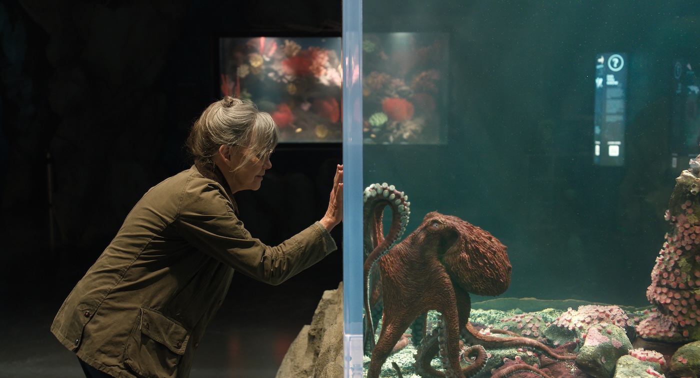 An older woman crouches and puts her hand on aquarium tank glass, while an octopus on the other side extends its arm to the glass.